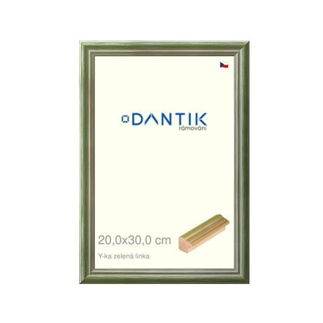 DANTIK rámeček 20 × 30, Y-ka zelený linka sklo čiré