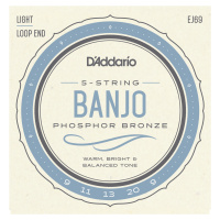 D'Addario EJ69