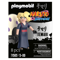 Playmobil 71565 temari