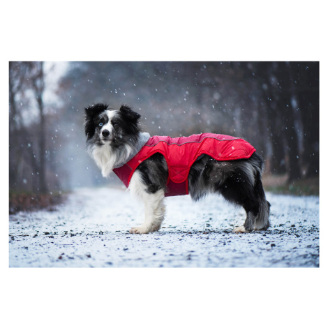 Vsepropejska Doral bunda pro psa s kožíškem Barva: Červená, Délka zad (cm): 27, Obvod hrudníku: 