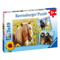 Ravensburger krásné koně 3 x 49 dílků