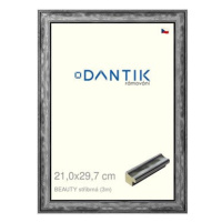 DANTIK rámeček 21 × 29,7, BEAUTY stříbrný sklo čiré