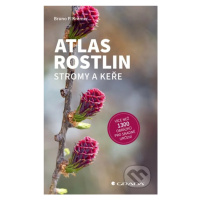 Atlas rostlin - Stromy a keře - Bruno P. Kremer - kniha z kategorie Biologie