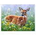 Figured ART Malování podle čísel - SRNEC NA LOUCE bez rámu 40 x 50 cm