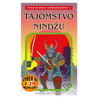 Tajomstvo nindžu - Jay Leibold - kniha z kategorie Beletrie pro děti