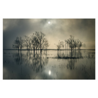 Fotografie Lake's Secret, joanne_flj, 40 × 26.7 cm