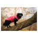 Vsepropejska Celine zimní bunda pro psa Barva: Vínová, Délka zad (cm): 61, Obvod hrudníku: 84 - 
