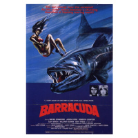 Ilustrace Barracuda, 26.7 × 40 cm