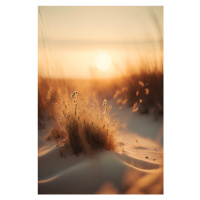 Fotografie Sunset At The Beach, Treechild, 26.7x40 cm