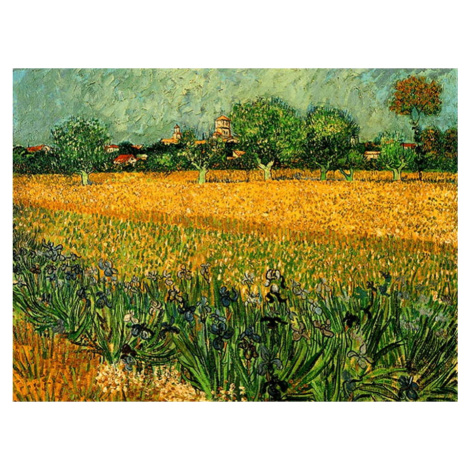 Reprodukce obrazu Vincenta van Gogha - View of arles with irises in the foreground, 40 x 30 cm Fedkolor
