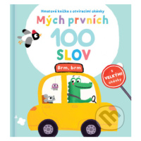 Mých prvních 100 slov: Brm, brm - kniha z kategorie Naučné knihy