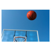 Fotografie Basketball Shoot in Air to Basket, Marcia Straub, 40x26.7 cm
