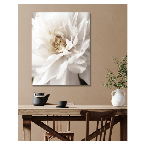 Obrazy na stěnu - Detail bílé květiny Rozměr: 40x50 cm, Rámování: vypnuté plátno na rám