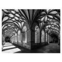 Fotografie the flowery cloister, Fernando Silveira, 40 × 30 cm