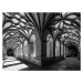 Fotografie the flowery cloister, Fernando Silveira, 40 × 30 cm