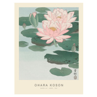 Obrazová reprodukce Water Lily (Special Edition) - Ohara Koson, 30 × 40 cm