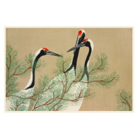 Obrazová reprodukce Red Crown Cranes from Momoyogusa, Kamisaka Sekka, 40 × 26.7 cm