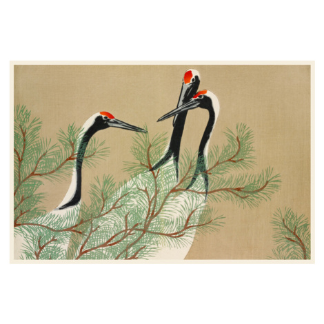 Obrazová reprodukce Red Crown Cranes from Momoyogusa, Kamisaka Sekka, 40 × 26.7 cm