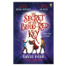 The Secret of the Blood-Red Key Usborne Publishing