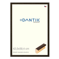 DANTIK rámeček 42 × 59,4, Metalli oidati olověný plexi čiré