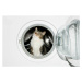 Fotografie Cat in a washing machine, Image Source, 40x26.7 cm