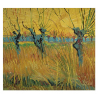 Obrazová reprodukce Pollarded Willows and Setting Sun, 1888, Vincent van Gogh, 40 × 35.9 cm