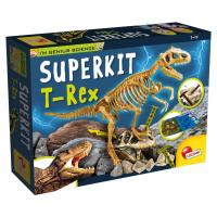 Dino vykopávka model t-rex