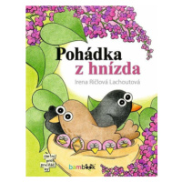 Pohádka z hnízda - Irena Lachoutová Ričlová