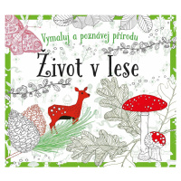 Život v lese - omalovánky