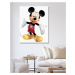 Diamantové malování - MICKEY MOUSE NA BÍLÉM POZADÍ Rozměr: 40x50 cm, Rámování: bez rámu a bez vy