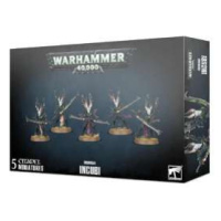 Warhammer 40k - Incubi