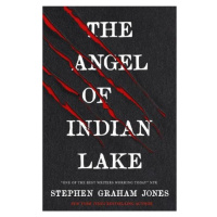 Angel of Indian Lake Titan Books Ltd