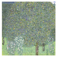 Obrazová reprodukce Roses under the Trees (1905), Gustav Klimt, 40 × 40 cm