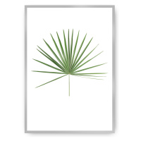 Dekoria Plakát Tropical Leaf Green, 40 x 50 cm, Vybrat rám: Stříbrný