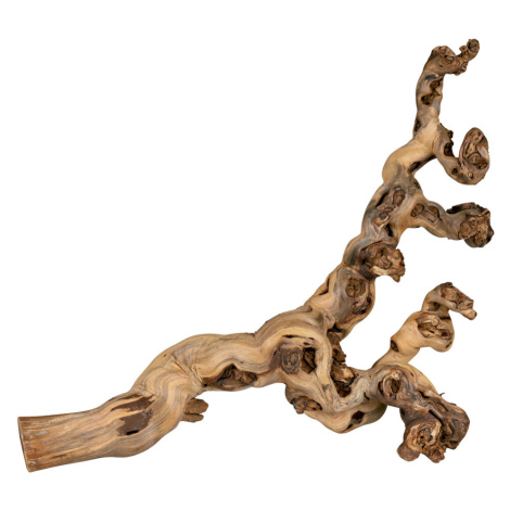 Trixie Reptiland opískovaná vinná réva - 40 - 60 cm