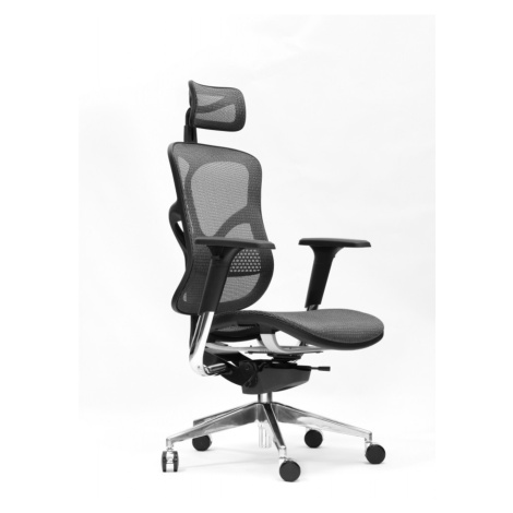 Spinergo BUSINESS Spinergo - zdravotní kancelářská židle - šedá