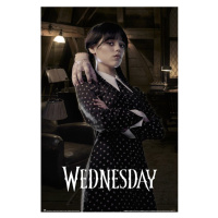 Plakát Wednesday - Room (15)