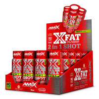 Amix XFat 2 in 1 Shot 20 x 60 ml fruity