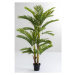 KARE Design Dekorativní rostlina Palm Tree 190cm