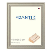 DANTIK rámeček 40 × 50, STEP bílý plexi čiré