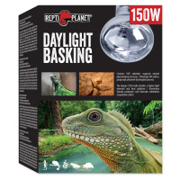 Žárovka REPTI PLANET Daylight Basking Spot 150 W