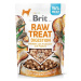 Brit Raw Treat Digestion, Chicken 40g