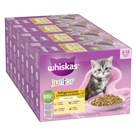 Megapack Whiskas Junior kapsičky 48 x 85 g - drůbeží výběr v želé (85 g)