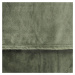 Mikrovláknová deka | ROTE | pistácie | 150x200 cm | 812359 Homla
