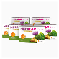 3měsíční HEPAFAR forte Premium kúra