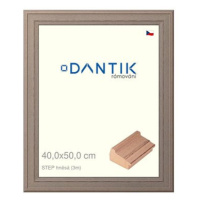 DANTIK rámeček 40 × 50, STEP hnědý plexi čiré