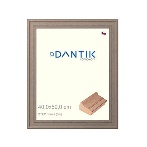 DANTIK rámeček 40 × 50, STEP hnědý plexi čiré