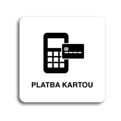 Accept Piktogram "platba kartou II" (80 × 80 mm) (bílá tabulka - černý tisk bez rámečku)