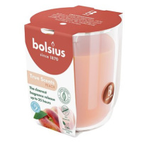 BOLSIUS Peach 25 h