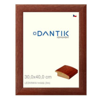 DANTIK rámeček 30 × 40, LEDVINKA hnědý plexi čiré